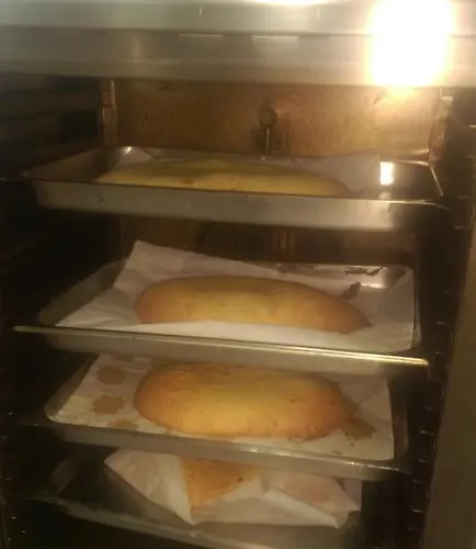 Playa 3* ريميني